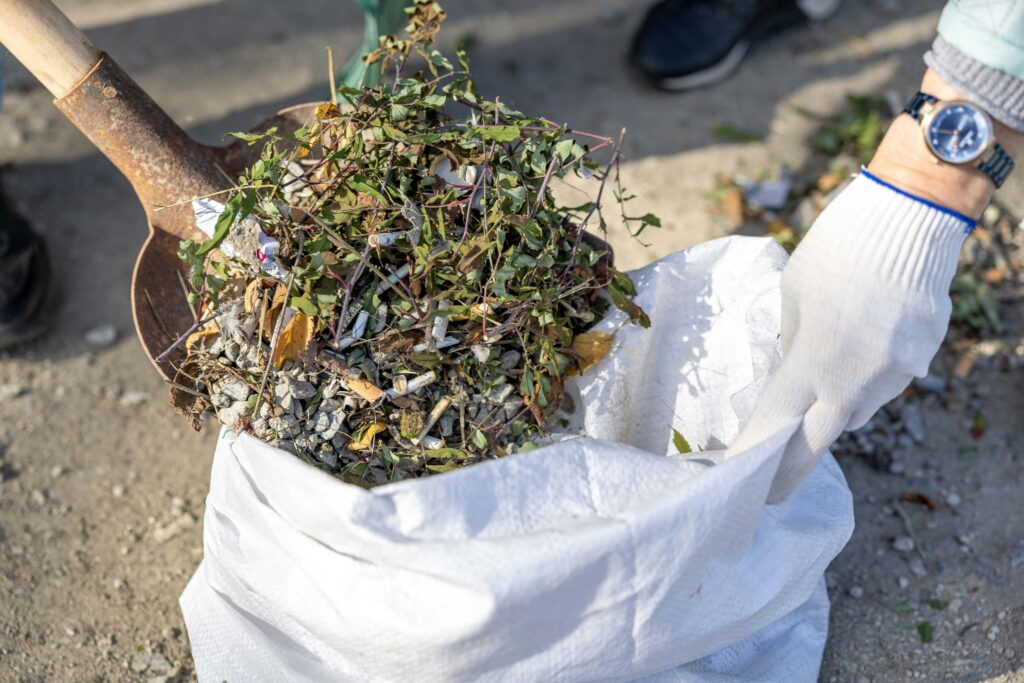 pexels-photo-29192615-29192615 Close-up of a person cleaning up weeds with a shovel and a garbage bag outdoors.
